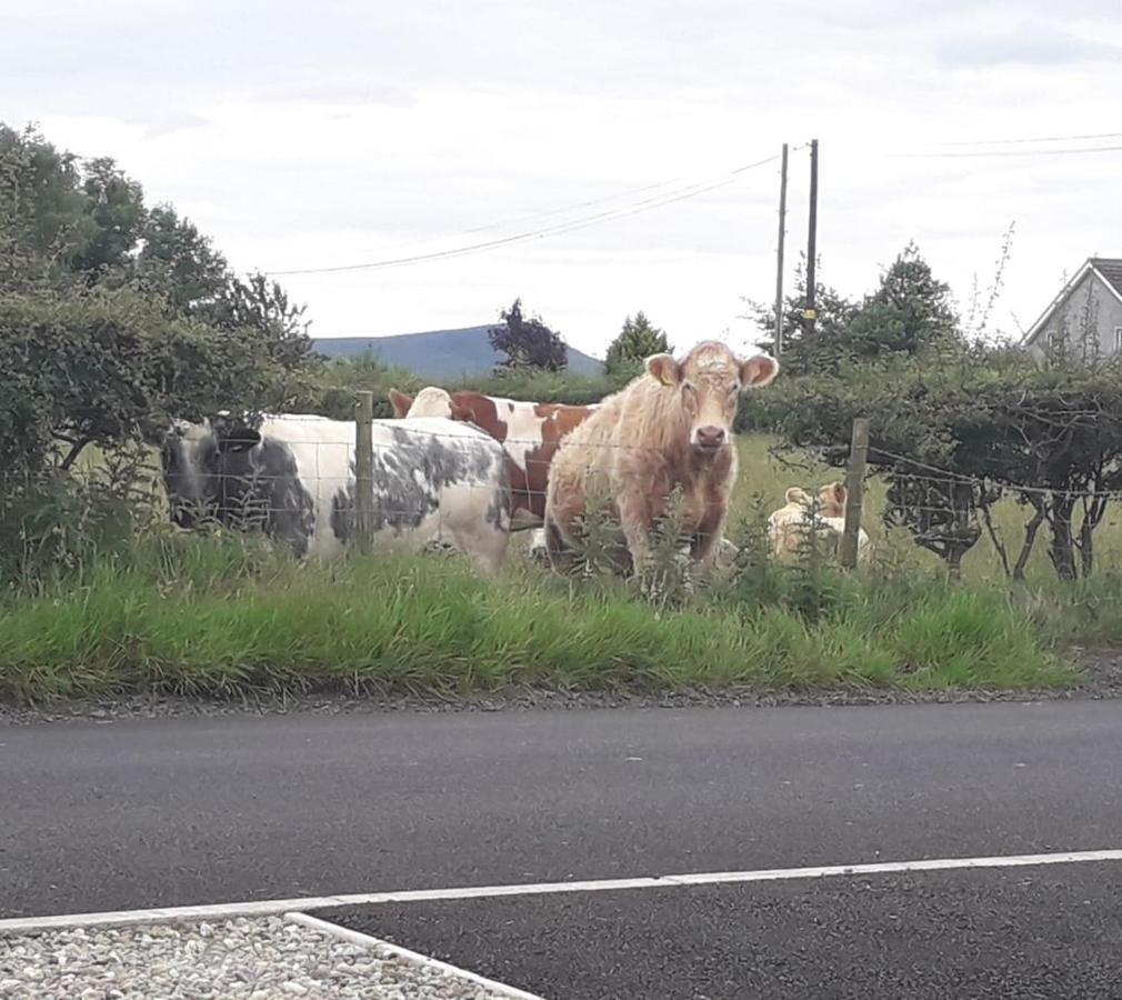 Mountain View Cottage Limavady Ngoại thất bức ảnh